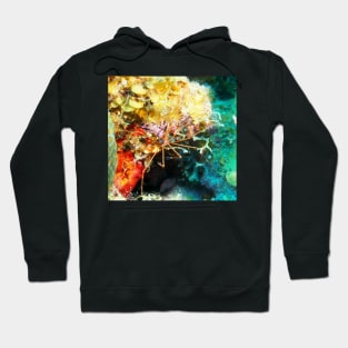 Arrow Crab on Coral Reef Hoodie